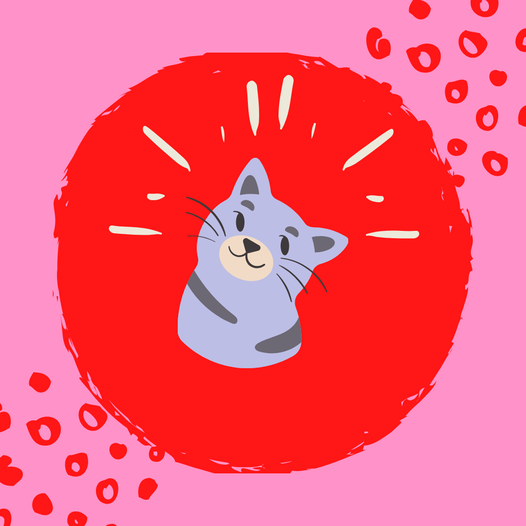 kedi makine traşı sonrası
